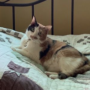 Meet your Posher, Mary